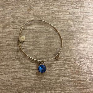 Birthstone Alex and Ani Bracelet